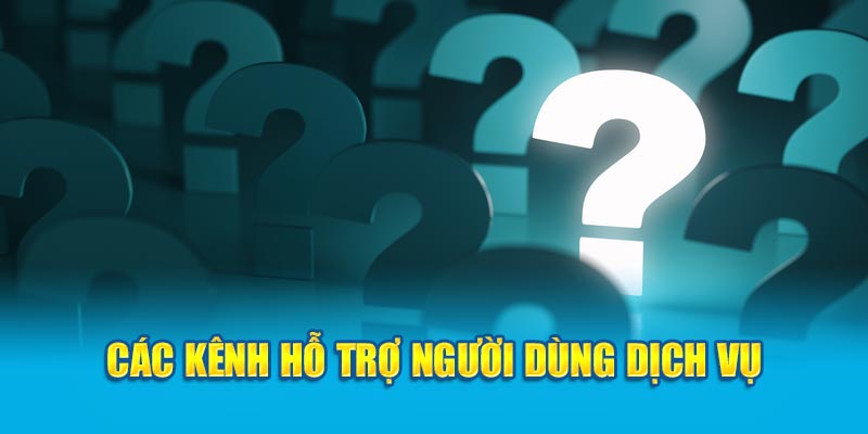 Các kênh chăm sóc người dùng dịch vụ